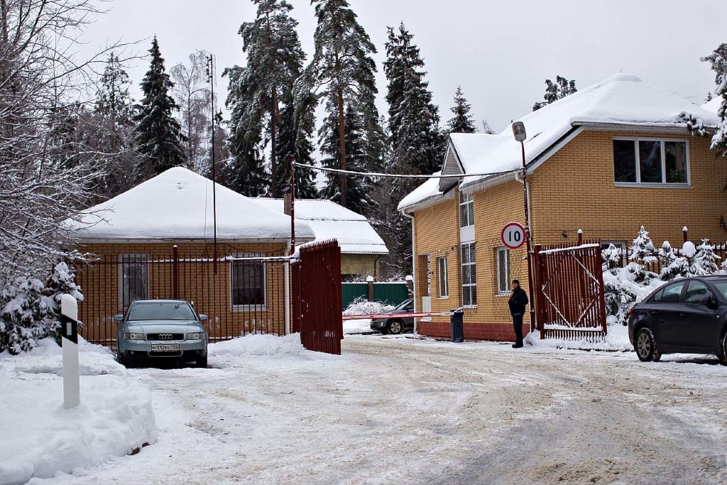 Лесные Дали Фото 57049